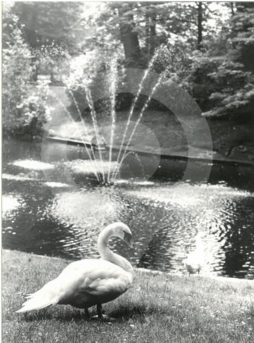 &copy; Gemeentearchieven van Schaarbeek