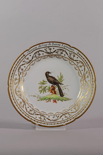 © Musea van Stad Brussel, 2025