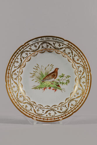 © Musée de la Ville de Bruxelles