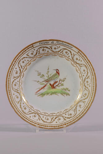 © Musée de la Ville de Bruxelles