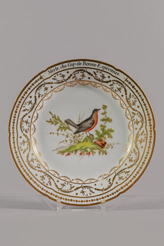 © Musée de la Ville de Bruxelles