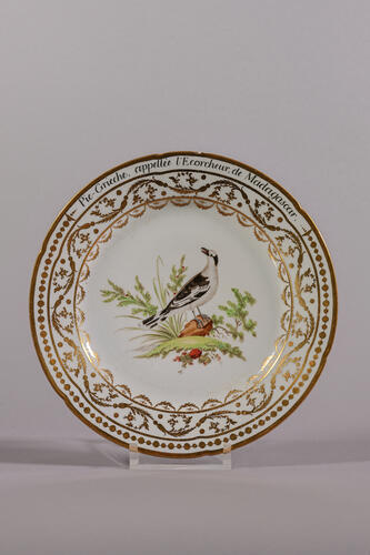 © Musée de la Ville de Bruxelles, 2025