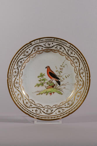 © Musée de la Ville de Bruxelles, 2025