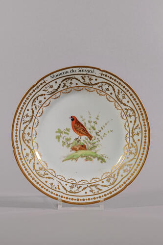 © Musée de la Ville de Bruxelles, 2025