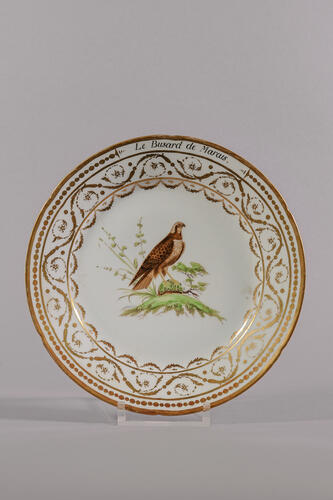 © Musée de la Ville de Bruxelles, 2025