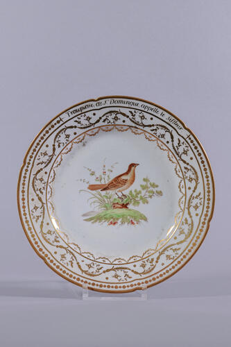 © Musée de la Ville de Bruxelles, 2025