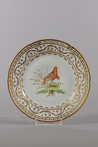 © Musée de la Ville de Bruxelles, 2025