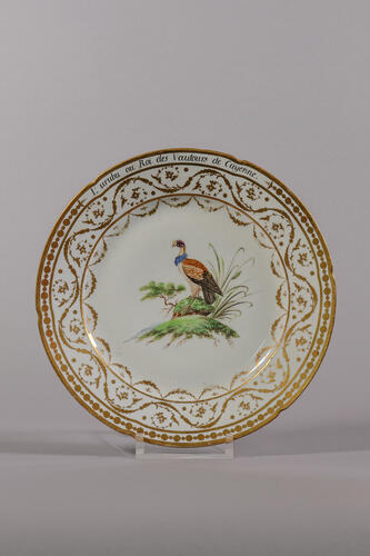 © Musée de la Ville de Bruxelles, 2025