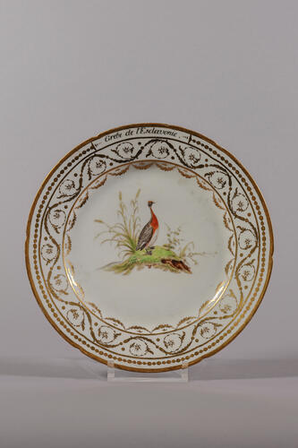 © Musée de la Ville de Bruxelles, 2025