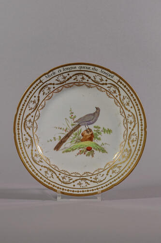 © Musée de la Ville de Bruxelles, 2025