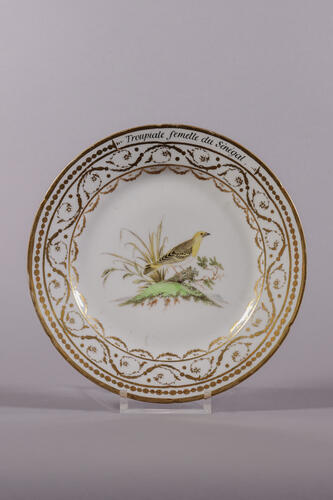 © Musée de la Ville de Bruxelles, 2025