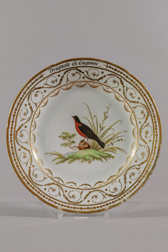 © Musée de la Ville de Bruxelles, 2025