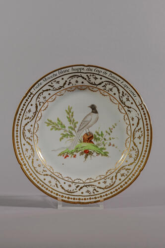 © Musée de la Ville de Bruxelles, 2025