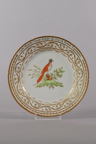 © Musée de la Ville de Bruxelles, 2025