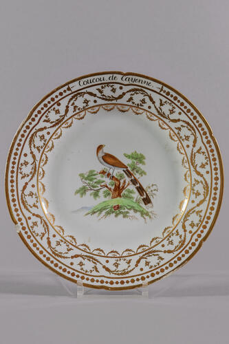 © Musée de la Ville de Bruxelles, 2025