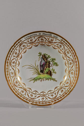 © Musée de la Ville de Bruxelles, 2025