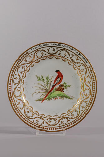 © Musée de la Ville de Bruxelles, 2025