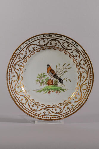 © Musée de la Ville de Bruxelles, 2025