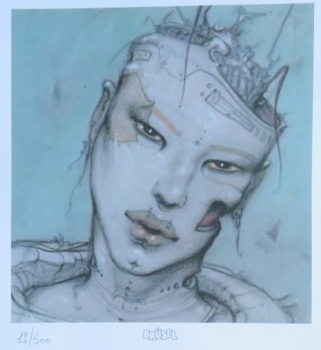 © Fondation Battieuw-Schmidt