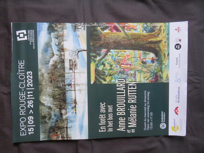 &copy; Fondation Battieuw-Schmidt