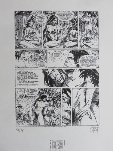 © Fondation Battieuw-Schmidt