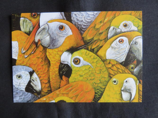 &copy; Fondation Battieuw-Schmidt