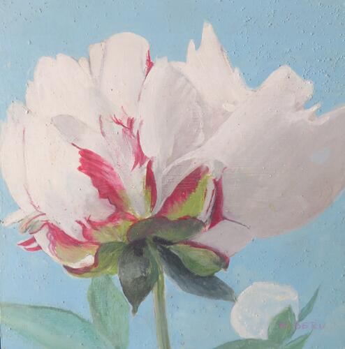 © Fondation Battieuw-Schmidt