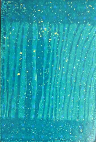 © Fondation Battieuw-Schmidt