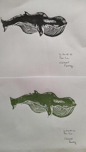 © Fondation Battieuw-Schmidt