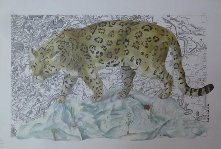 © Fondation Battieuw-Schmidt