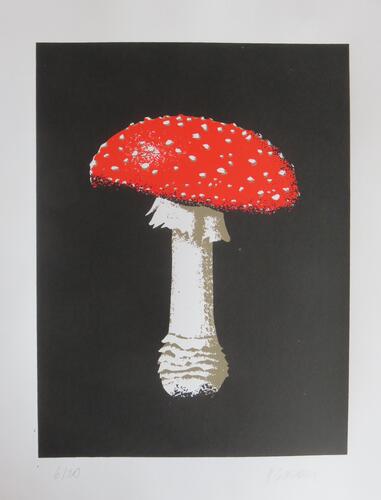 © Fondation Battieuw-Schmidt