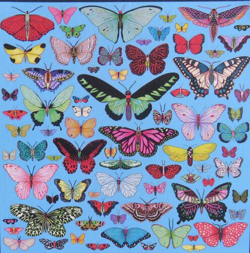 © Fondation Battieuw-Schmidt