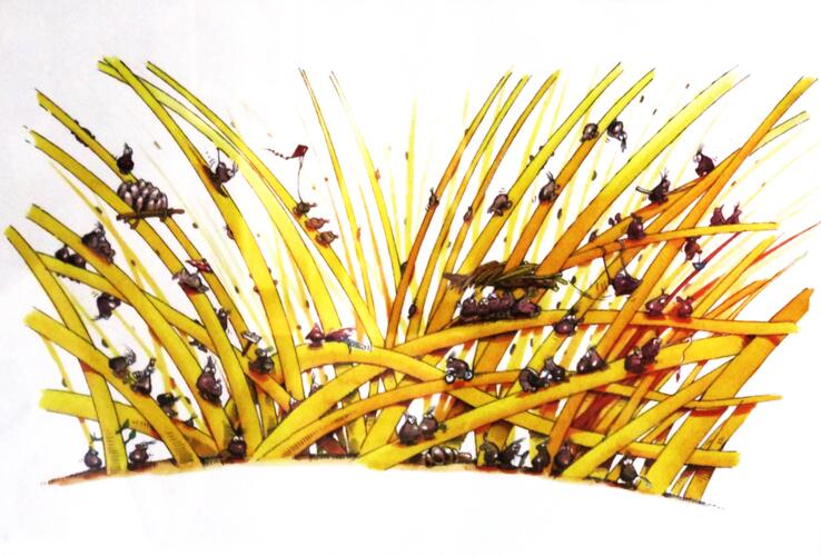 &copy; Fondation Battieuw-Schmidt