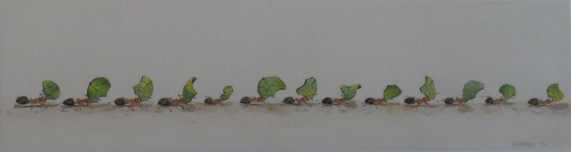 &copy; Fondation Battieuw-Schmidt