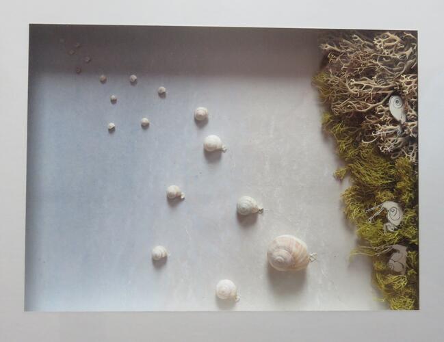 &copy; Fondation Battieuw-Schmidt