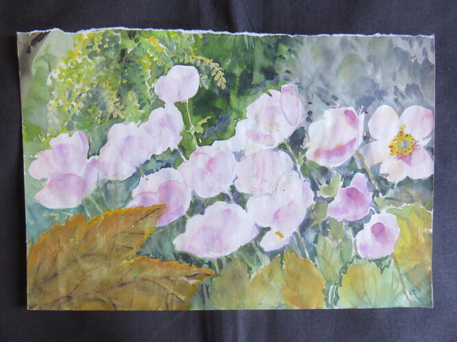 © Fondation Battieuw-Schmidt