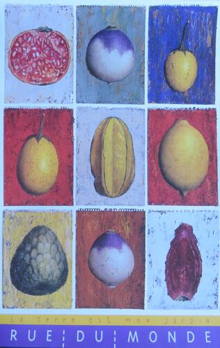 © Fondation Battieuw-Schmidt