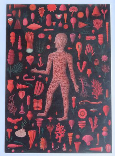 © Fondation Battieuw-Schmidt