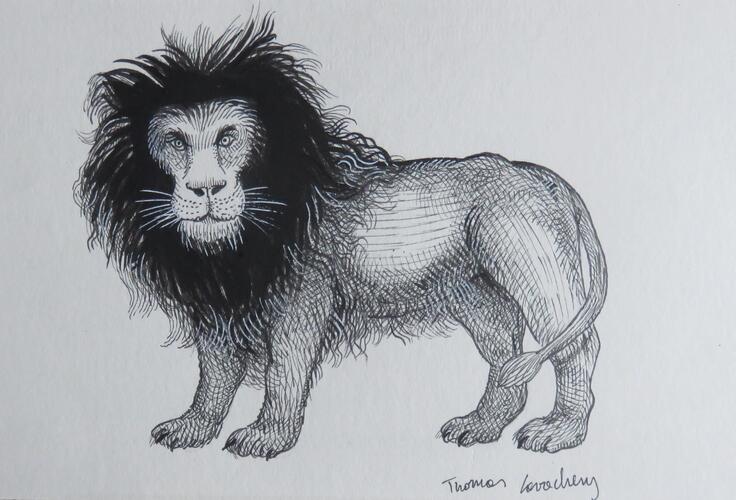 &copy; Fondation Battieuw-Schmidt