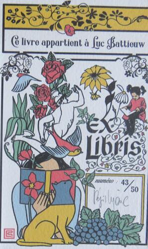 &copy; Fondation Battieuw-Schmidt