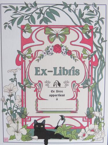 &copy; Fondation Battieuw-Schmidt