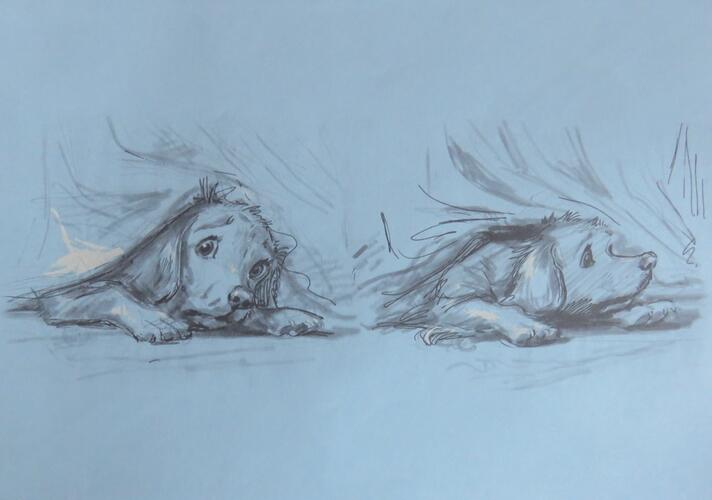 &copy; Fondation Battieuw-Schmidt