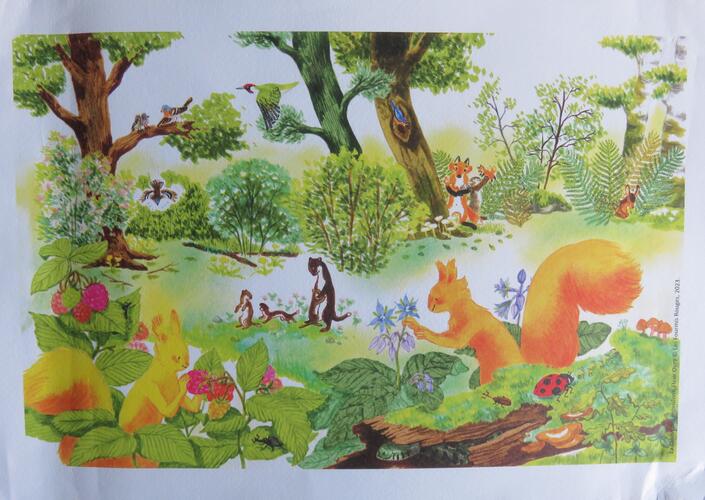 &copy; Fondation Battieuw-Schmidt