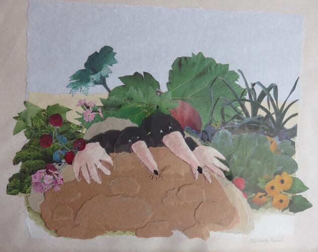 &copy; Fondation Battieuw-Schmidt