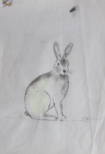 &copy; Fondation Battieuw-Schmidt