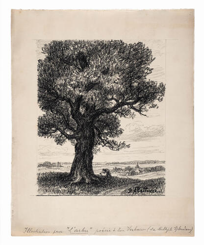 &copy; MoMuse 2025 / Thierry Wieleman