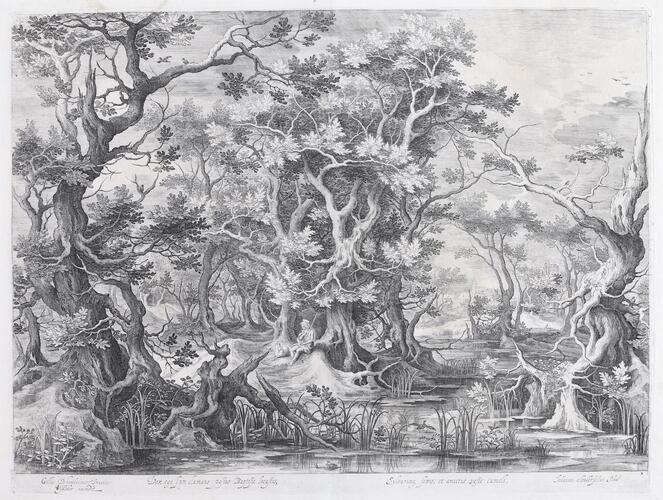 © MoMuse / Vincent Everaerts