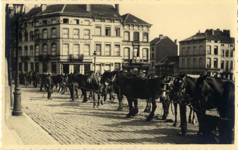 Place de la Duchesse - Marché aux chevaux© MoMuse