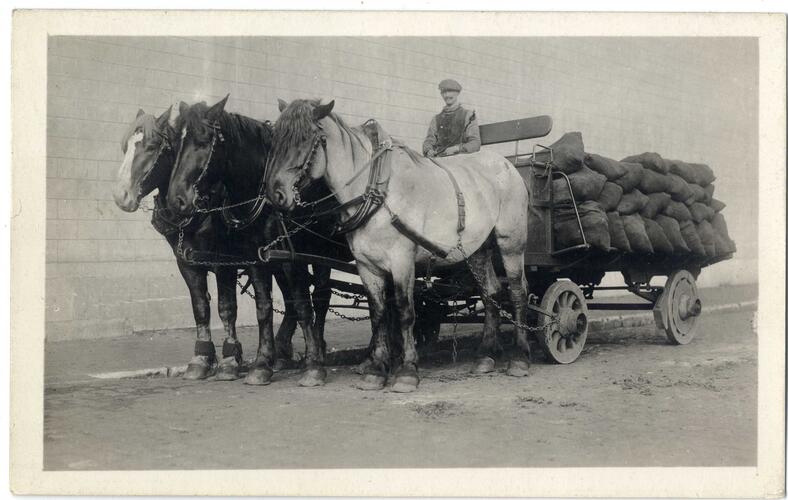 Porte de Ninove 1910 - 3 chevaux tirants une charrette de charbon© MoMuse