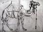 Camel; gravure 10/25 de Moreh, datée en haut à gauche 1980